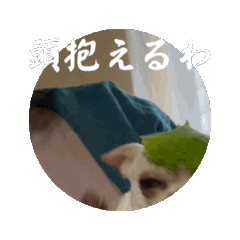 hana_20250106180001
