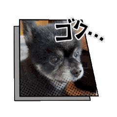 動くマロンくんスタンプ