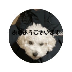 Napi_20250107025727