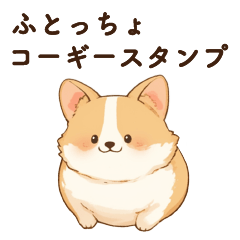 Fat cute corgi like a ball