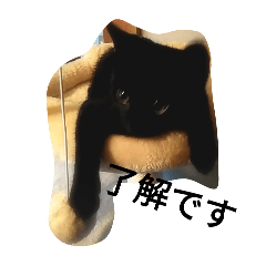 maaayan_20250106085124