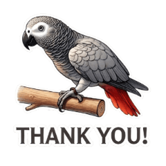 Cute African Grey: LINE Stickers