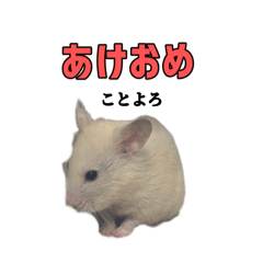 YUKI_20250106112414