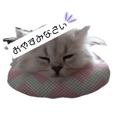 mitsuki_20250106111439