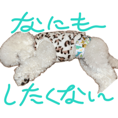 Yuko_20250106121248