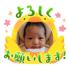 koto_20250106122921