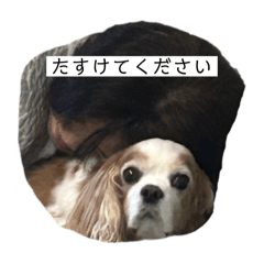aiueo_20250106033845