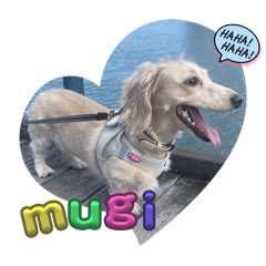 mugi_20250106124658