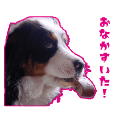 minappe_20250106164501