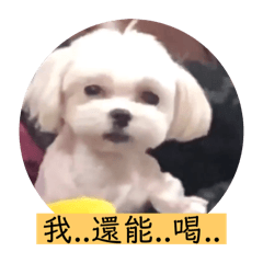 瑪爾濟斯界中最可愛的球球