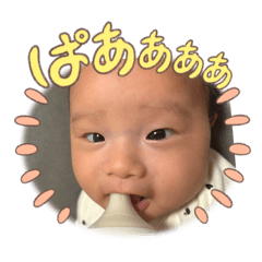 nono_20250106184454