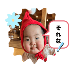 zaki_20250106193915