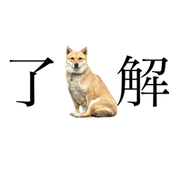 choco_20250106203915