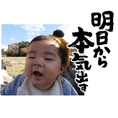 PAPA_20250106232557