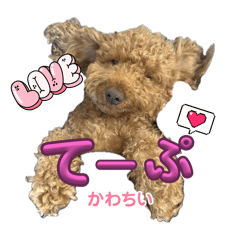 Taki_20250106234347