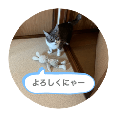 mochi_20250107002430