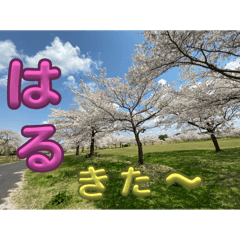 为你疗愈