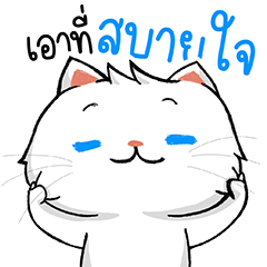 เหมียวมิโสะ แมวน้อยสุดน่ารัก