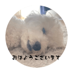 Napi_20250107035028