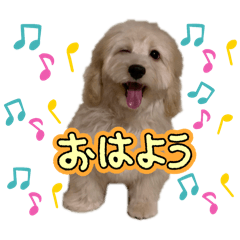N_20250107132212