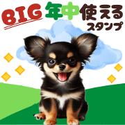 BIG Chihuahua stamp
