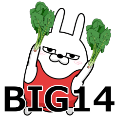 BIG 擦れうさぎ14