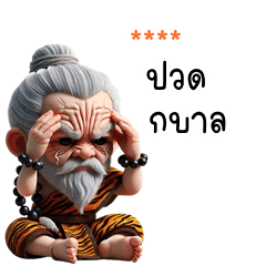 My name is ***: Funny Grandpa Tiger