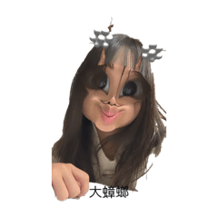 fan_20250107190651
