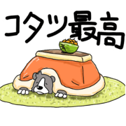 Kumata kumatachi 7