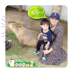 錢朋朋25月日表情包