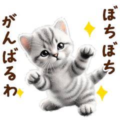 GO!feltCats_ai_03_kansai