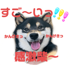 nao_20250107174351