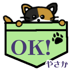 Yasaka's Pocket Cat's  [3]