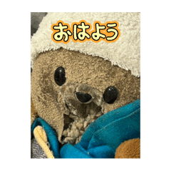 nicochanchan_