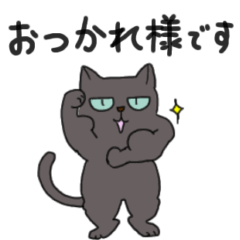 everyday cat's2