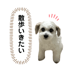 Ally_20250107170959