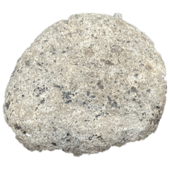 ONIGIRI_20250107142918