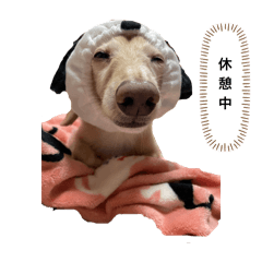akiko_20250107182904
