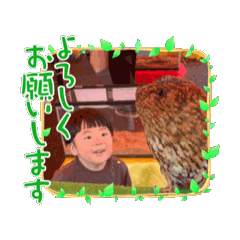 miki_20250107195214ajtw