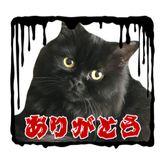 Mie_20250107210158