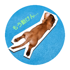 AKIRA_20250107213939
