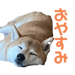 Hoyu_20250107214531