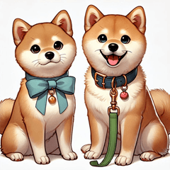 Adorably Cute Shiba Inu!