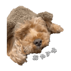 kana_20250107222656