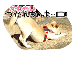 bun_20250107233725