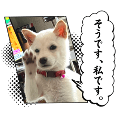 kema_20250108130225