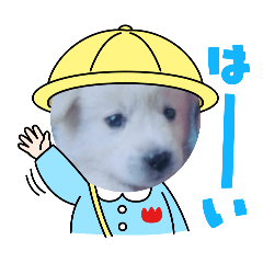 LEON_20250107232623