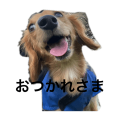 hiyori_20250108002330