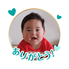 Tanuki_20250108092543