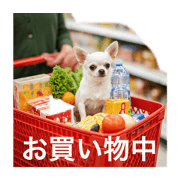 mawashi_20250107223343